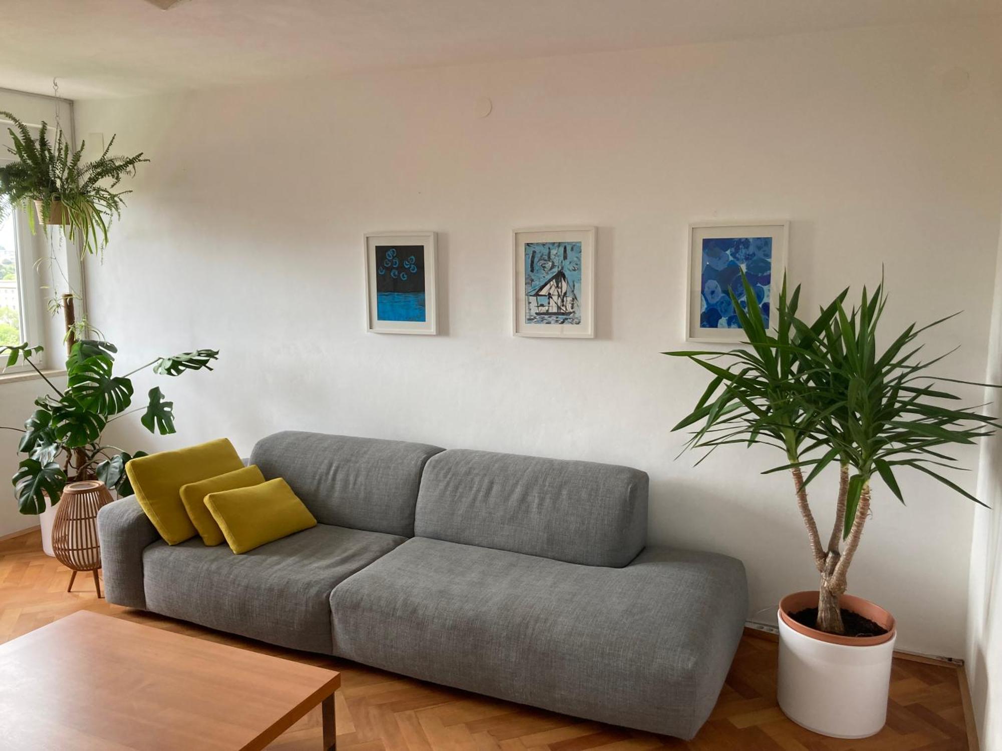 Apartmán Zara Pula Exteriér fotografie